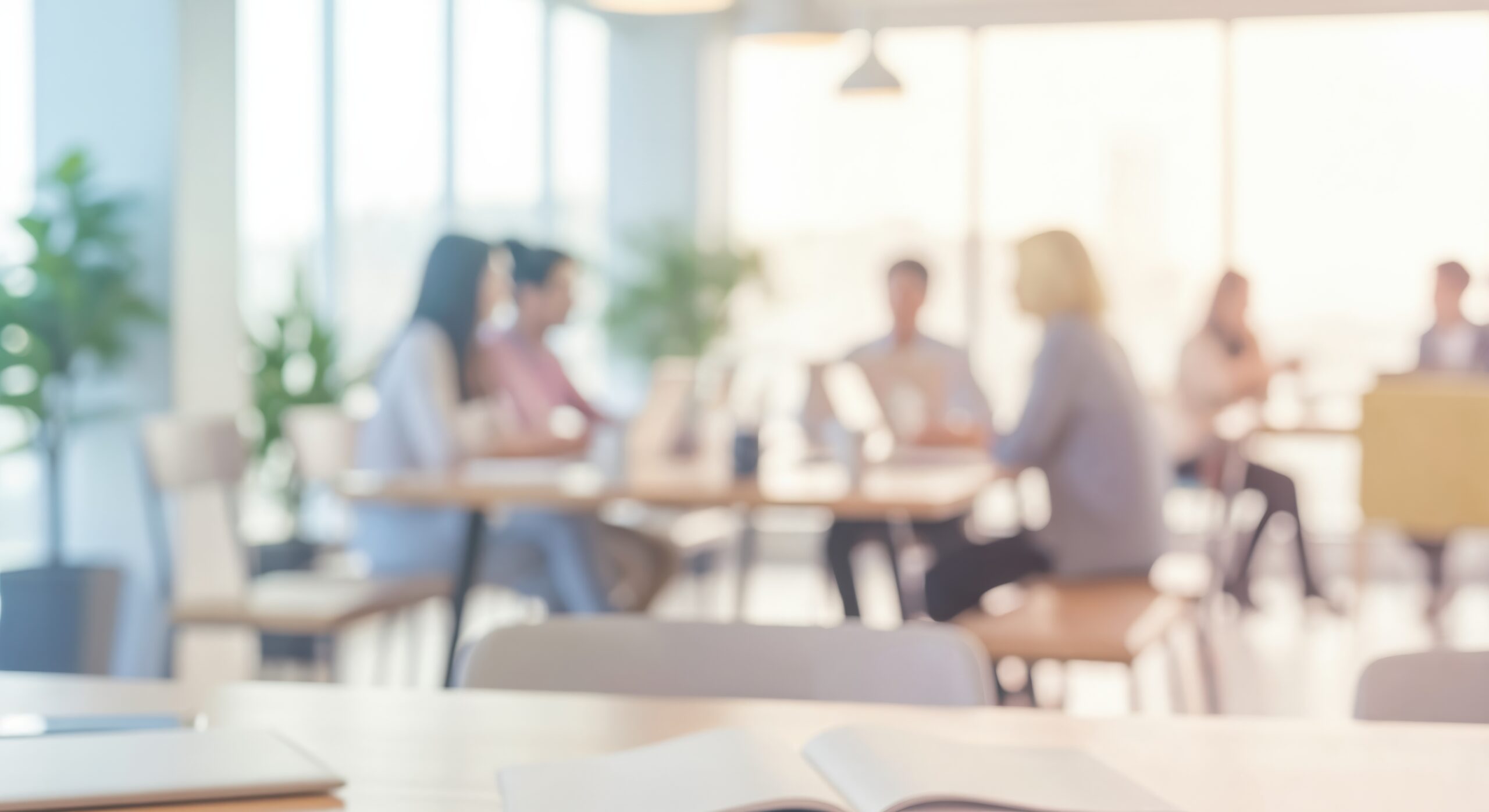 Business consultation
